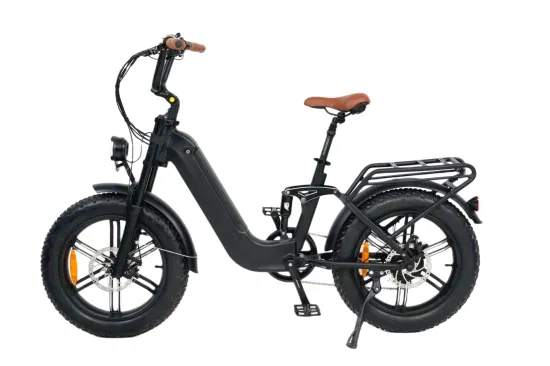 Queene/48V 750W versteckte Batterie Fat Tire Electric E