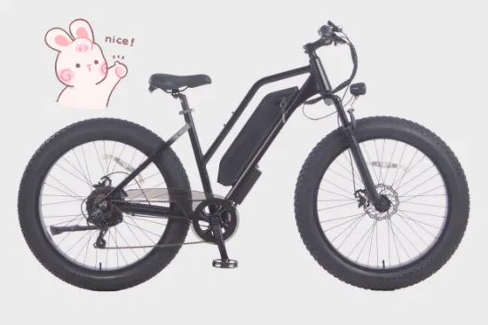 48V 500W Erwachsene zwei Räder 26 Zoll 7 Geschwindigkeit elektrische Dirt Bike Moped Fahrrad elektrische Vorderradaufhängung Fahrrad elektrische Fat Bike